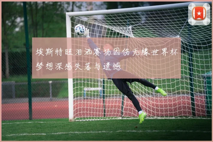 埃斯特旺泪洒赛场因伤无缘世界杯梦想深感失落与遗憾